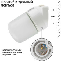 Настенный светильник для сауны TDM ELECTRIC НПБ400-1, IP54, 60 Вт, белый, наклонный SQ0303-0049
