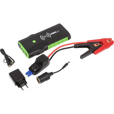 BVItech УСТРОЙСТВО ПУСКА, ЗАРЯДА, ПИТАНИЯ И ОСВЕЩЕНИЯ BS-09QDS/QDSP/12 BS916