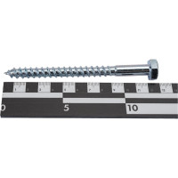 Сантехнический шуруп Госкреп 10х120 (2 шт) 3-0011590