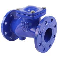 Клапан обратный шаровой DN.ru GGG50-GGG50-БНК-сп Ду80 Ру16 со сливной пробкой, чугунный D100-01578