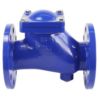 Клапан обратный шаровой DN.ru GGG50-GGG50-БНК-сп Ду80 Ру16 со сливной пробкой, чугунный D100-01578