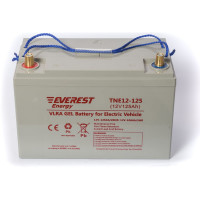 Тяговая аккумуляторная батарея EVEREST Energy TNE 12-125
