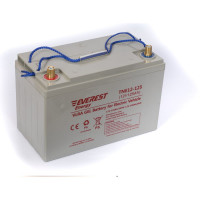 Тяговая аккумуляторная батарея EVEREST Energy TNE 12-125
