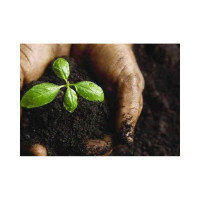 Грунт Сила Суздаля Цитрусовые 5 л 4680004060451