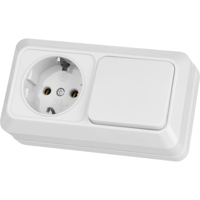 Комбинированный блок TDM ELECTRIC выключатель 1-клавишный 10А + розетка 2П+З 16А 250В БКВР IP20 белый Ладога SQ1801-0101