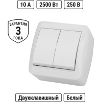 Выключатель накладной двухклавишный, белый IP44 TDM ELECTRIC 10А, серия "Селигер" SQ1818-0002