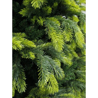 Искусственная ель BEATREES Cosmos 1,8 м 1032818