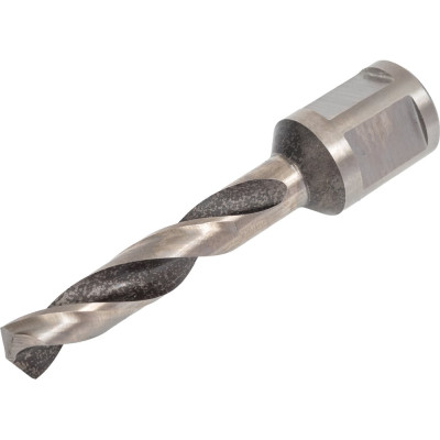 Сверло по металлу с хвостовиком WELDON 19 Эксперт 10 мм, 55 мм, HSS M2 Профоснастка №805 40202017