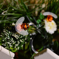 Садовая гирлянда на солнечной батарее Uniel, Пчелки, USL-S-127/PT4000, BEES, UL-00004280