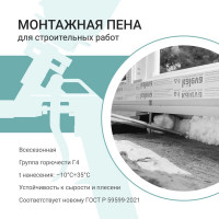 Полиуретановая монтажная профессиональная всесезонная пена DONEWELL 451000 мл DPP10U45