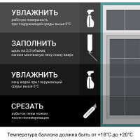 Полиуретановая монтажная профессиональная всесезонная пена DONEWELL 451000 мл DPP10U45