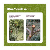 Краска Светофор F4 для садовых деревьев Супербелая 3 кг ЗОР00009200