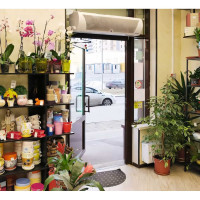 Тепловая завеса Тепломаш КЭВ-9П3031E 123003