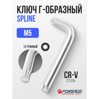 Ключ Forsage Г-образный SPLINE M5 F-76805K(2377)