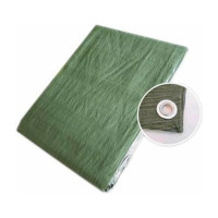Тент Lite 4х6 м, терпаулинг, зеленый Tramp TLTP-003