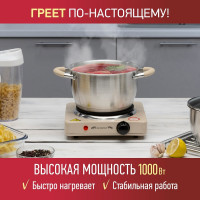 Электроплитка Energy EN-901E, чугун 159767