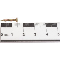 Саморез SWFS ШУЖ 2,5х16, 1000 шт. тов-018290