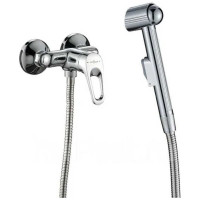 Одноручный смеситель с гигиеническим душем Decoroom DR21058