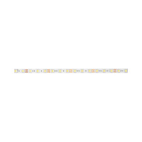 Светодиодная лента Jazzway PLS 5050/60-12В 14.4Вт/м 6500К холодный белый IP20 (упаковка 5м) 1000972