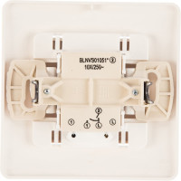 2-клавишный выключатель Systeme Electric BLANCA с подсветкой 10А, 250B, МОЛОЧНЫЙ BLNVS010512
