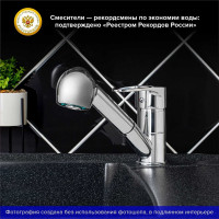 Смеситель для кухни с выдвижной лейкой РМС SL52-014