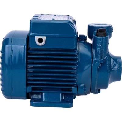 Насос Pedrollo 41PNK60A1