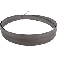 Пила ленточная M42 (2910 мм; 27 мм; шаг 8/12TPI) REALREZ 4687201902317