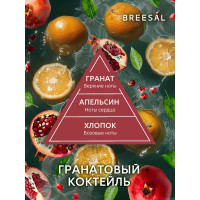 Освежитель Breesal AQUA-нейтрализатор запаха Антитабак Гранатовый коктейль B/40007