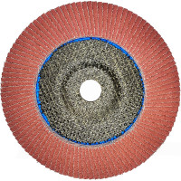 Диск лепестковый (180х22 мм; Р60) Karbosan KAR-981780