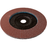 Диск лепестковый (180х22 мм; Р60) Karbosan KAR-981780