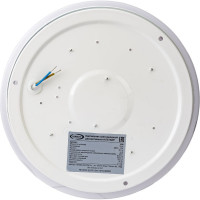 Светодиодный светильник IONICH Альтаир серия 2219, 12 Вт 850 Лм 230В 6500К 215 мм IP20 1695