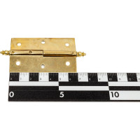 Петля Amig покрытие латунь, IZ-Правая 541-70 (IZ)
