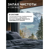 Гель для стирки черного белья SYNERGETIC канистра ПЭ 2.75 л 4607971450269 109800