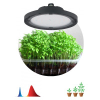 Светодиодный фитопрожектор для растений ЭРА FITO-50W-RB-LED-UFO красно-синего спектра 50 Вт, Б0053280