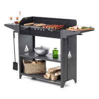 Мангал гриль Professional Standart Grill GRATAR PSG 3000