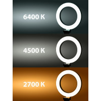 Лампа кольцевая светодиодная 16 см, 6 Вт, 2700-6400 К TDM ELECTRIC, штатив настольный, диммер, USB SQ0373-0301