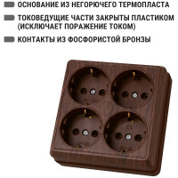 Четырехместная розетка TDM ELECTRIC 2П+3 открытой установки IP20 16A бук Ладога SQ1801-0322