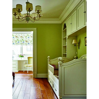 Колеровочная паста SAFORA фисташка 100 мл 15