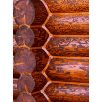 Масло для дерева SAFORA тонирующее, с воском, темный орех МД150/5