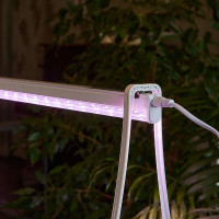 Светильник для растений Uniel 10W SPLE IP40 WHITE ULI-P12 UL-00007512