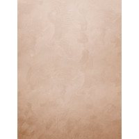 Декоративное покрытие Farbitex DUPON (мокрый шелк; 2.5 л) 4300008111