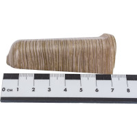 Наружный угол для плинтуса DECONIKA (70 мм; 208 Дуб мокко; 2 шт.) Д-П70-Нк-Ф2 208 ДУБ МОК