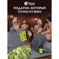 Банный набор Банные штучки портфель, веник, шапка, коврик, мочалка, ароматизатор 34222