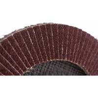 Круг лепестковый торцевой КЛТ1 (125x22 мм; ZK 80 38А 20/ Р80) Луга 4603347224847