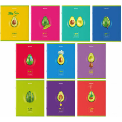 Предметные тетради BRAUBERG AVOCADO 404325