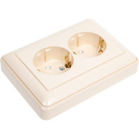 Двухместная розетка с заземлением Systeme Electric W59 с защитными шторками и рамкой, слоновая кость RS16-255-28