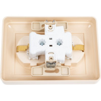 Двухместная розетка с заземлением Systeme Electric W59 с защитными шторками и рамкой, слоновая кость RS16-255-28