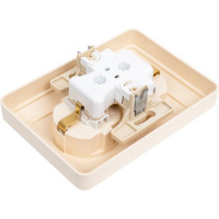 Двухместная розетка с заземлением Systeme Electric W59 с защитными шторками и рамкой, слоновая кость RS16-255-28