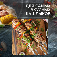 Набор шампуров малых в блистере (6 шт.) FORESTER RZ-450SB