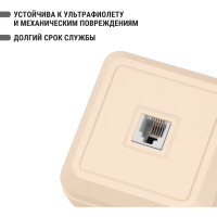 Розетка открытой установки TФ RJ-11 IP20, слоновая кость TDM ELECTRIC Ладога SQ1801-0023